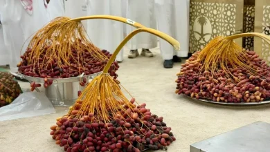 Third Sakaka Dates Festival Concludes with 40 Farmers, Producing Families