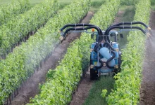 France Announces Over €1 Billion to Support Agricultural Sector Hit by Heatwaves, Drought