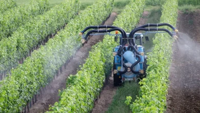 France Announces Over €1 Billion to Support Agricultural Sector Hit by Heatwaves, Drought