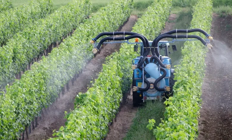 France Announces Over €1 Billion to Support Agricultural Sector Hit by Heatwaves, Drought
