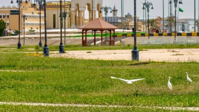 Rafha’s 40 Parks Enhance Quality of Life