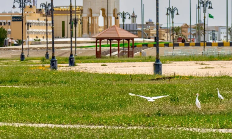 Rafha’s 40 Parks Enhance Quality of Life