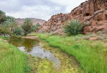 Salma Geopark… Geological diversity and historical evidence in Ha’il