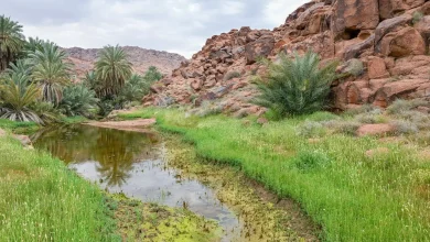 Salma Geopark… Geological diversity and historical evidence in Ha’il