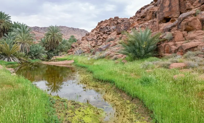 Salma Geopark… Geological diversity and historical evidence in Ha’il